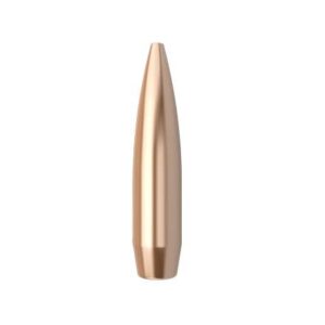 These bullets are crafted for top-tier accuracy and performance, making them an ideal choice for match shooters. 22 rifle target.