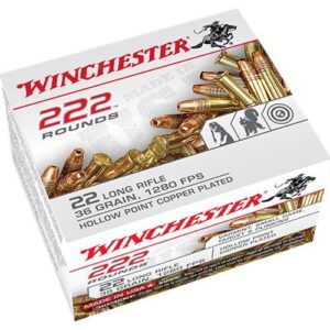Whether you’re out for a day at the range, participating in a competition, or into the field for some small game hunting, winchester 22 lr ammunition